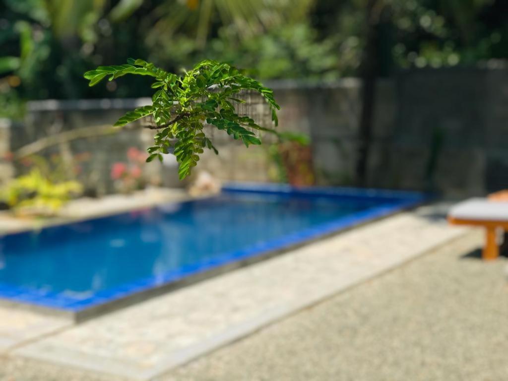 Peaceful Green Villa Unawatuna Εξωτερικό φωτογραφία